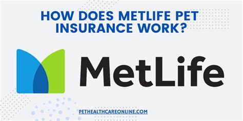 how does metlife pet insurance work? what's the difference between pet insurance and pet health care?