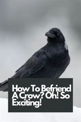 How to Make Friends with Ravens: Exploring the Unusual Bond Between Humans and These Intelligent Birds