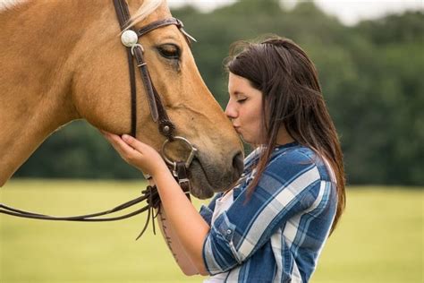 where do horses like to be pet: Exploring the Nuances of Horse-Human Interaction and Affection